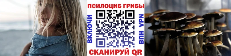 Галлюциногенные грибы прущие грибы  Ладушкин 